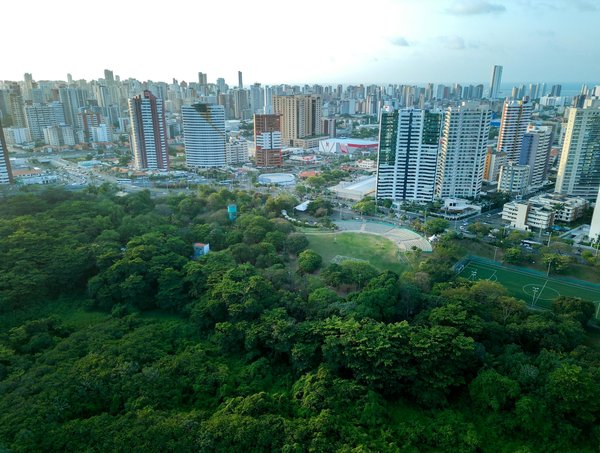 10 Must-Haves Zéro Déchets pour Transformer Votre Salle de Bain