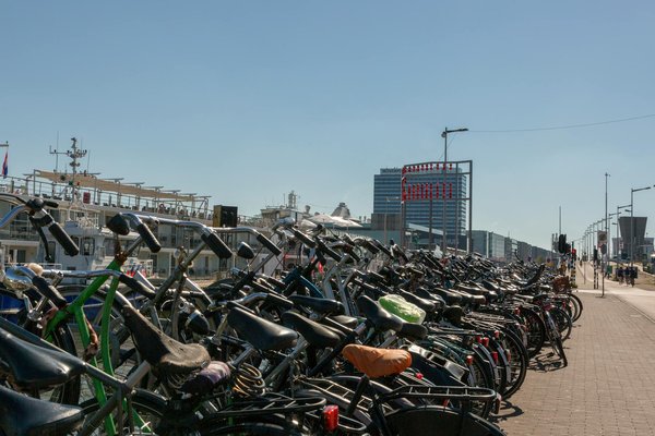 Ma peste adorée : bijoux uniques et bien-être au naturel