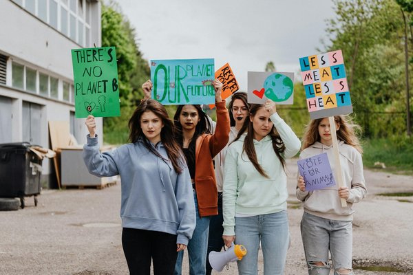 Découvrez les 10 sites incontournables pour le chanvre en 2025